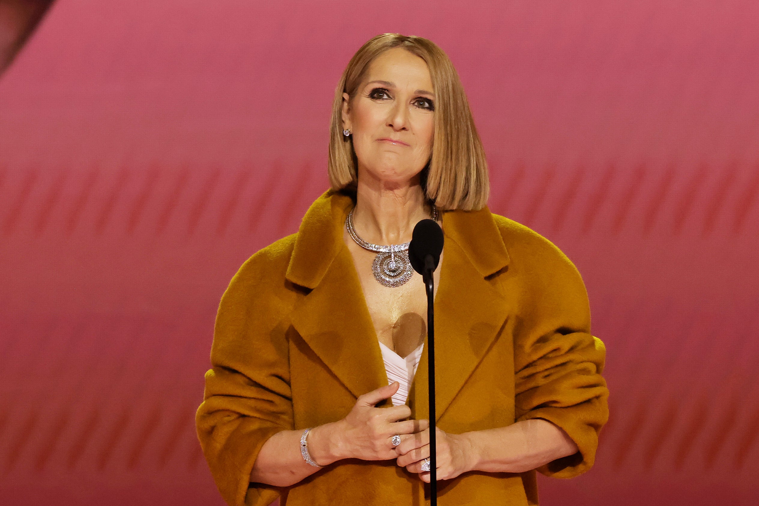 Celine Dion speaks onstage during the 66th Grammy Awards