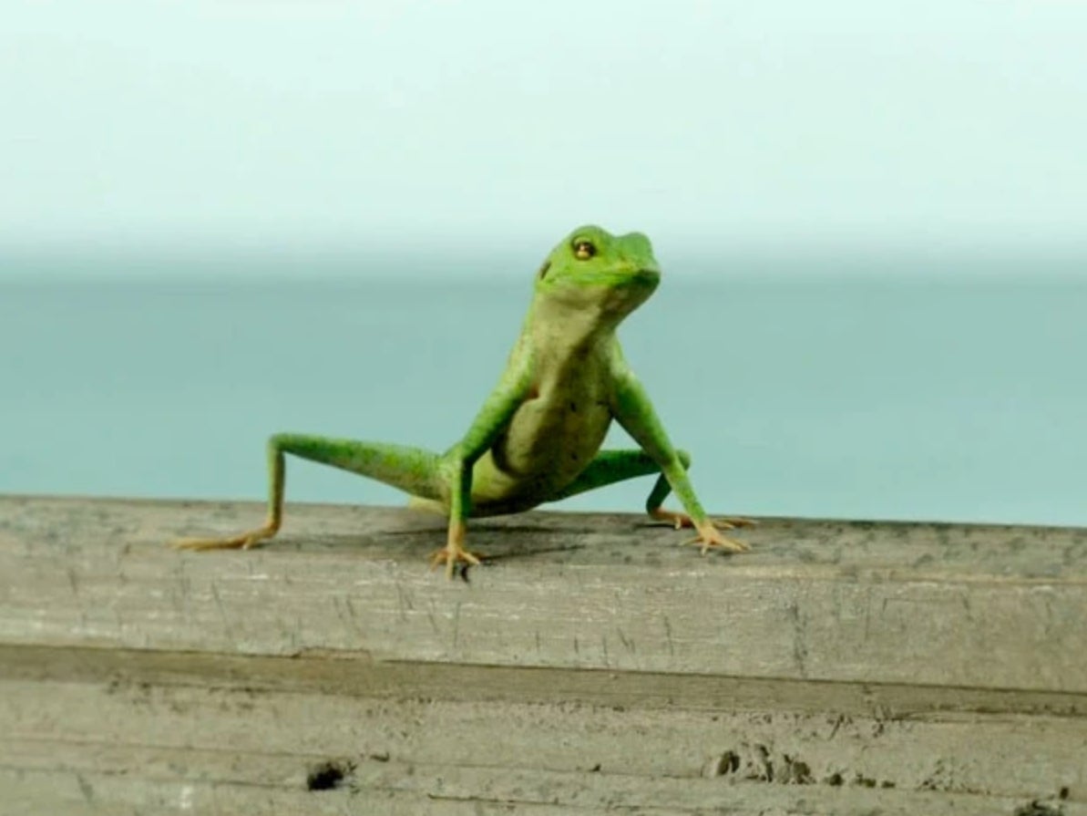 Harry the Lizard was nowhere to be seen in ‘Death in Paradise’s 100th episode