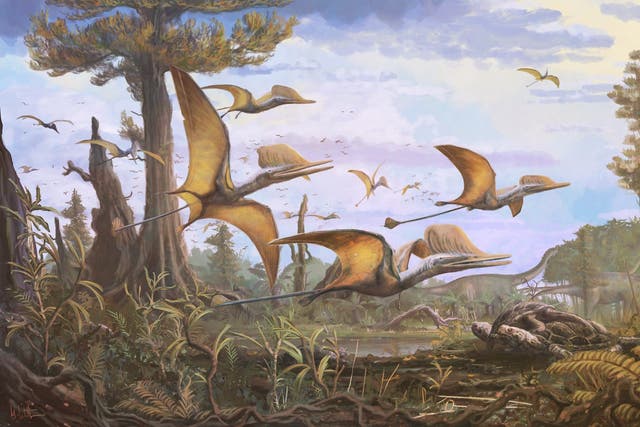 <p>Pterosaur, the prehistoric flying reptile</p>