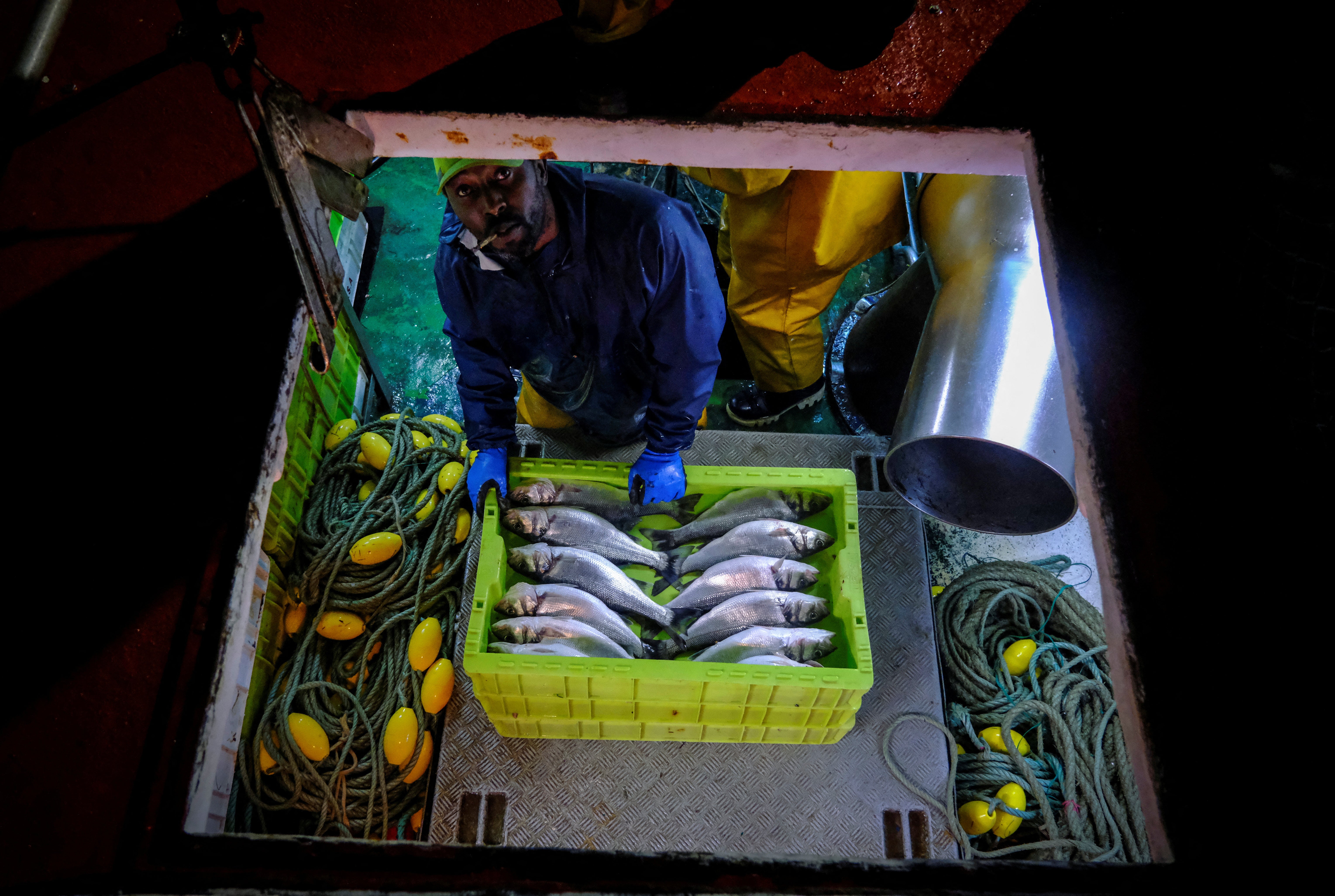 Working alongside Indonesians, Senegalese and Spaniards on the Sarridal vessel, Diouf is a whirl of activity, hauling in nets and cleaning and boxing hake during 14-hour shifts