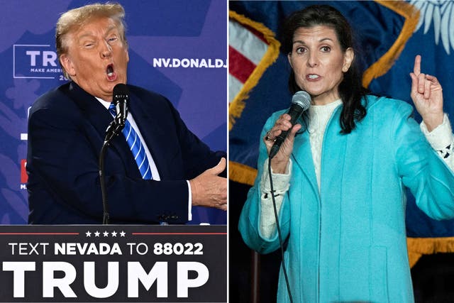 <p>Donald Trump and Nikki Haley are going head-to-head in the South Carolina primary later this month </p>