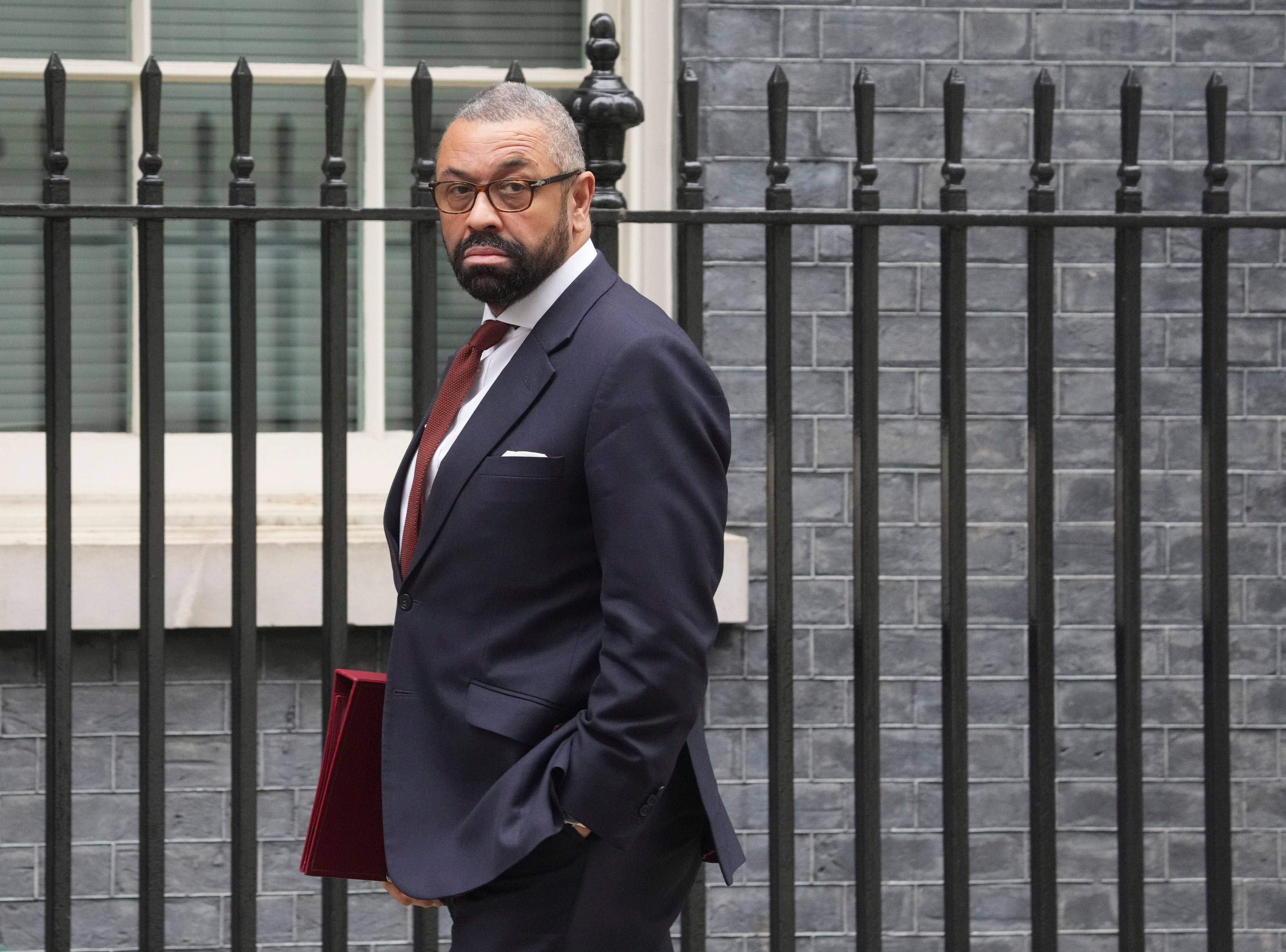 James Cleverly is understood to have given the green light on the project