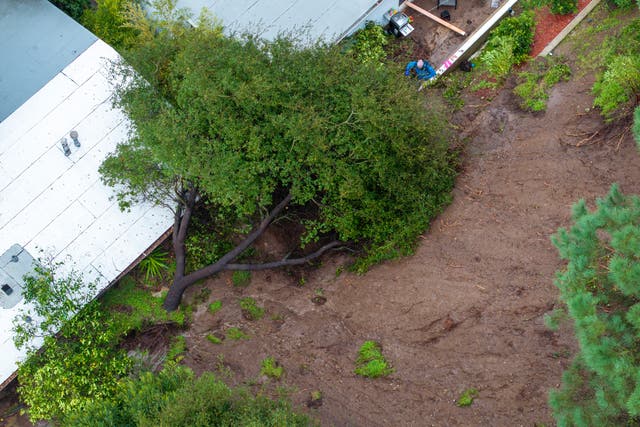 <p>This aerial view shows a man shovelling mud after a landslide pushed a tree into his and his neighbor's houses as the second and more powerful of two atmospheric river storms inundates the Hollywood Hills of Los Angeles, California, on February 5, 2024</p>