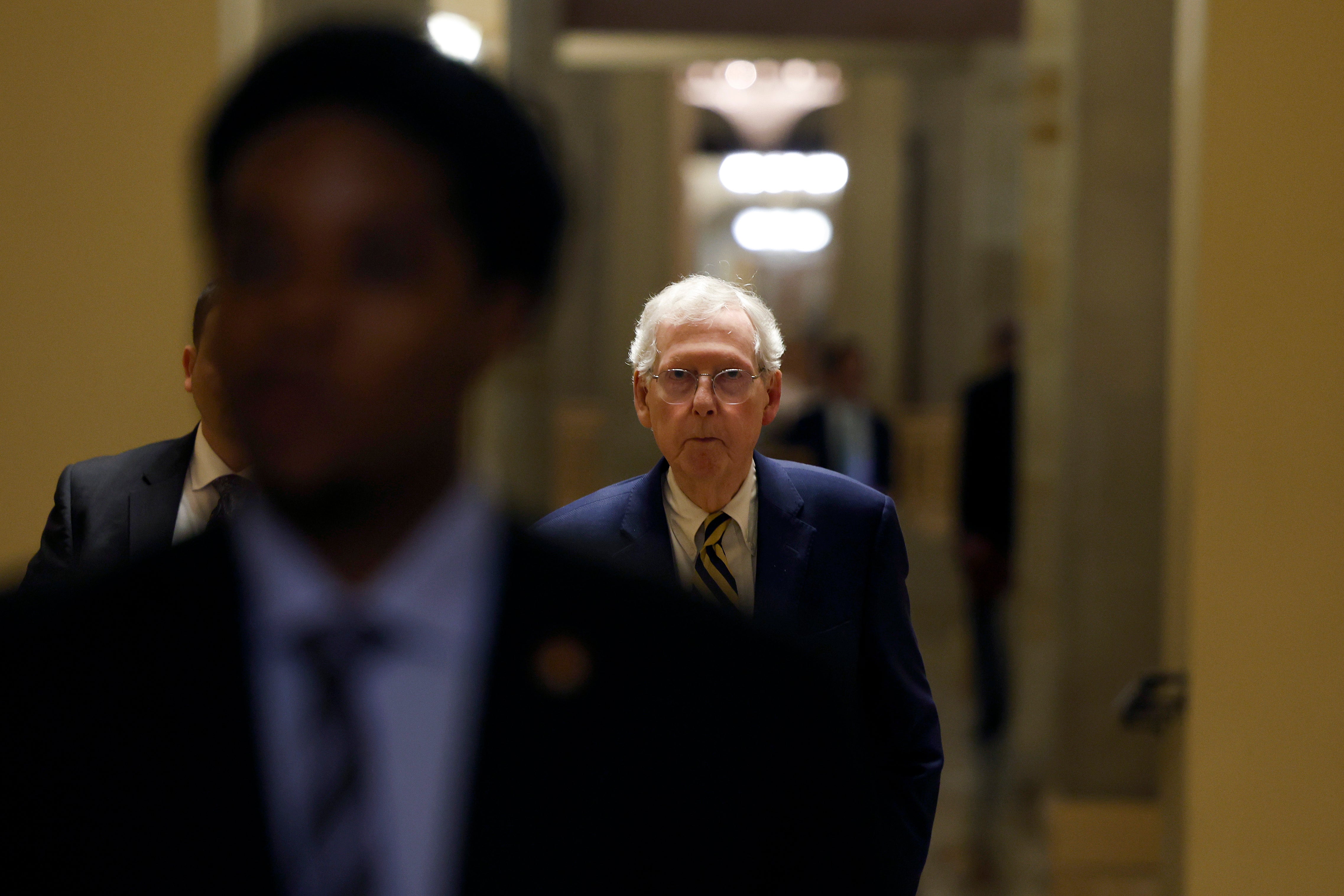 <p>Senate Minority Leader Mitch McConnell </p>