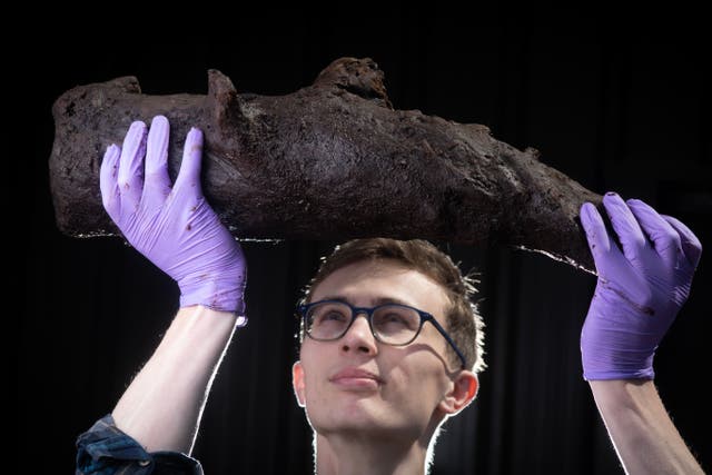 A Bronze Age willow was found in peatland at Alderman’s Barrow Allotment (Steve Haywood/National Trust/PA)