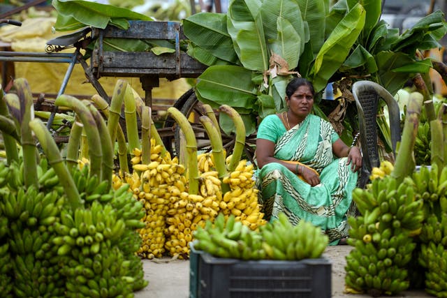 <p>File image: A woman sells bananas at a wholesale market in the south Indian city of Chennai </p>