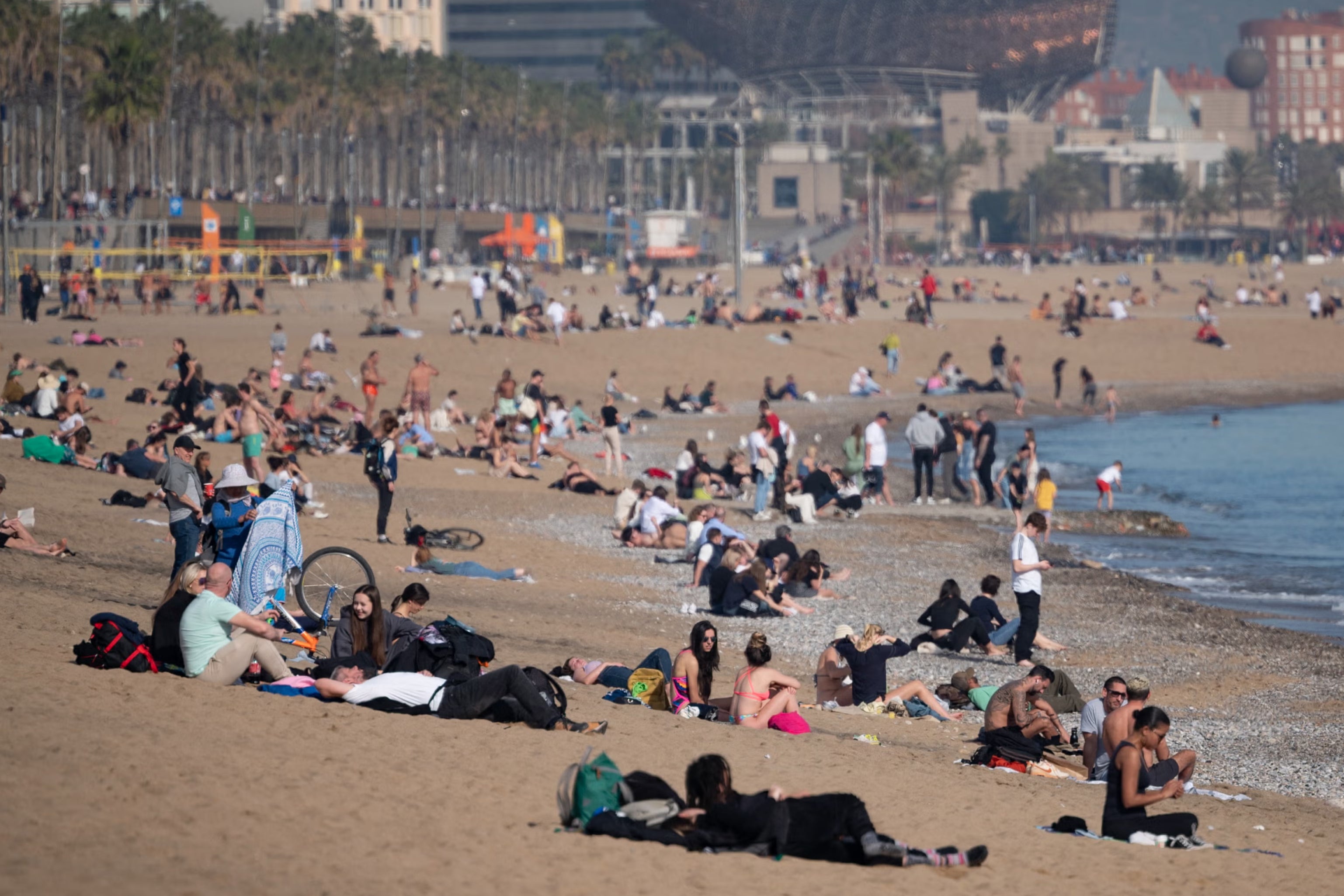 People sunbathe on San Sebastian beach in Barcelona in January