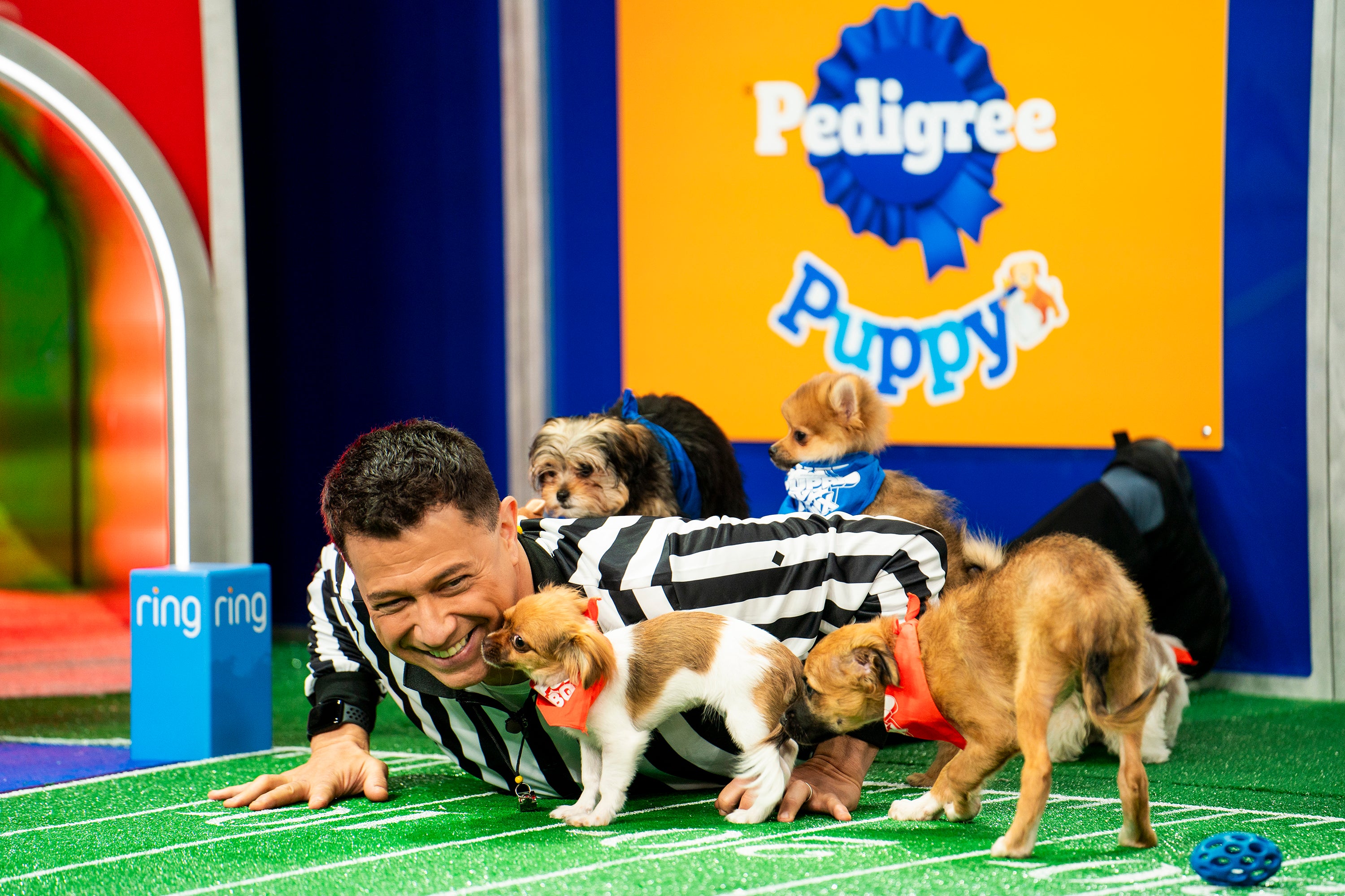 Puppy store bowl players