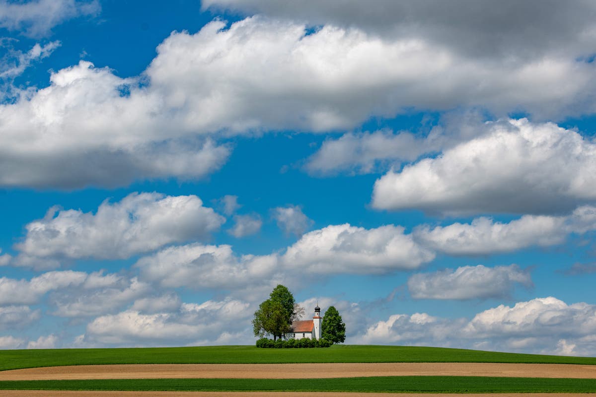 X/Twitter alternative BlueSky opens to everyone as it reaches three million users