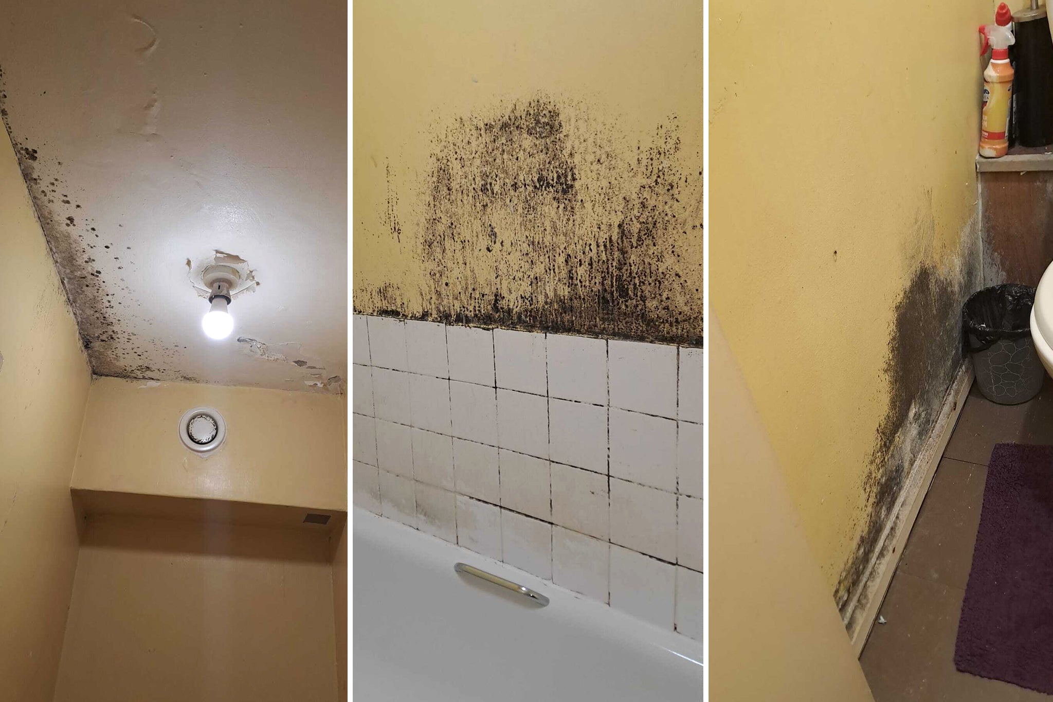 Milford Towers has had problems with mould in flats. Pictures from a Lewisham Council-maintained flat on the fifth floor