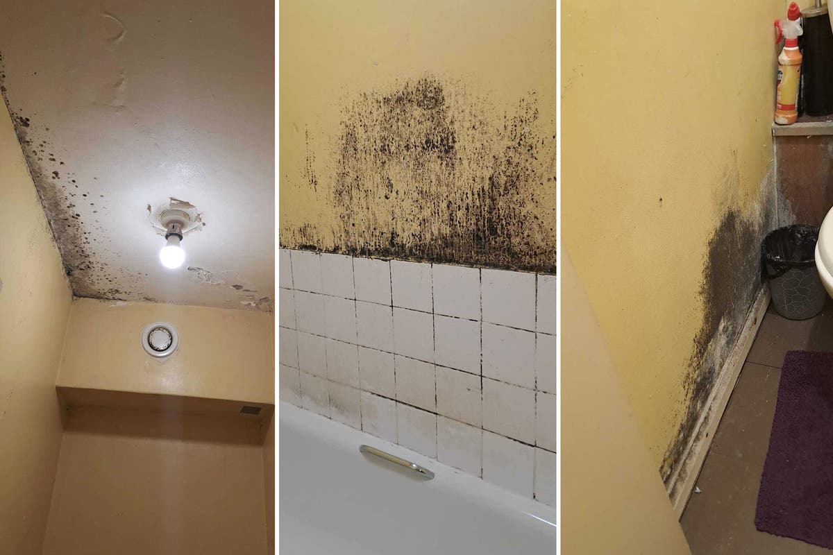 Inside the London estate where residents deal with mould, floods, and stabbings - while their landlord makes £100m surplus - Vimarsana News