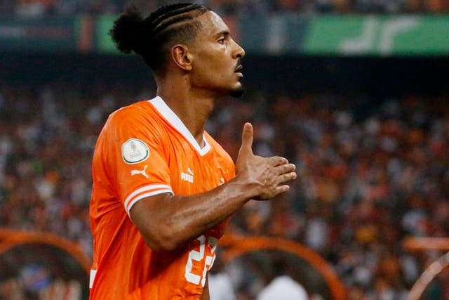 <p>Sebastien Haller scored the first goal of the game for Ivory Coast</p>