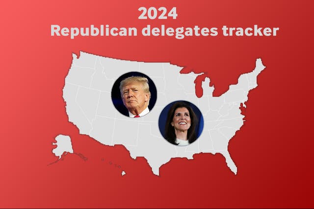 <p>Republican candidates Donald Trump and Nikki Haley are campaigning to try and obtain the most amount of delegates in their race to secure Republican nomination</p>