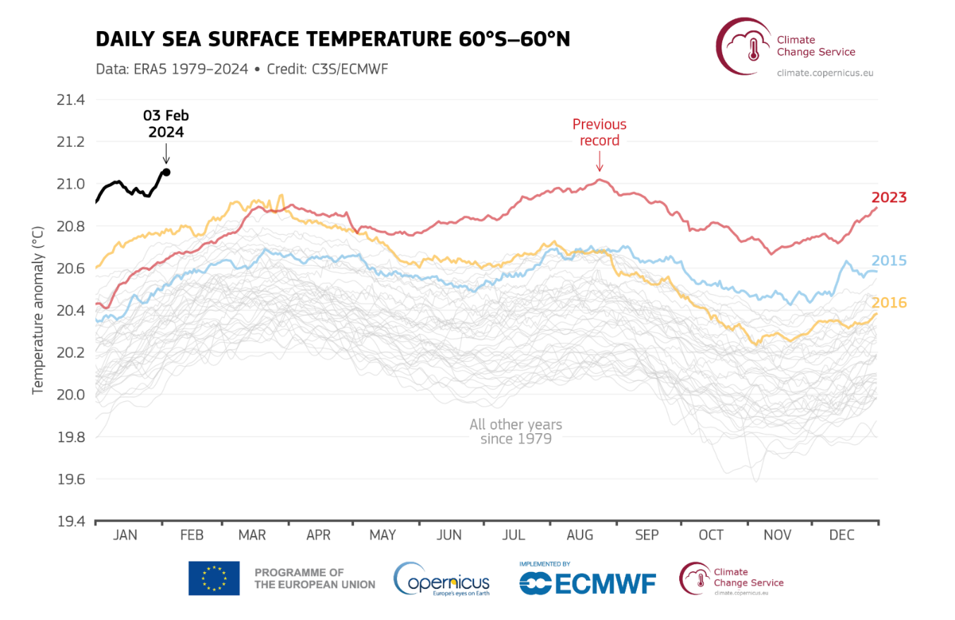 Data from C3S shows sea surface temperatures in 2024 standing higher than all previous years