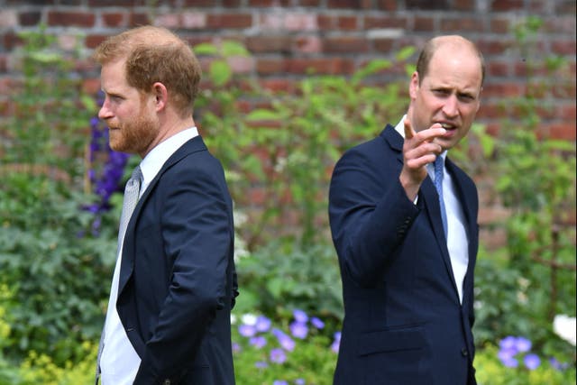 <p>Tensions: Relations between Princes Harry and William have been fraught for years</p>