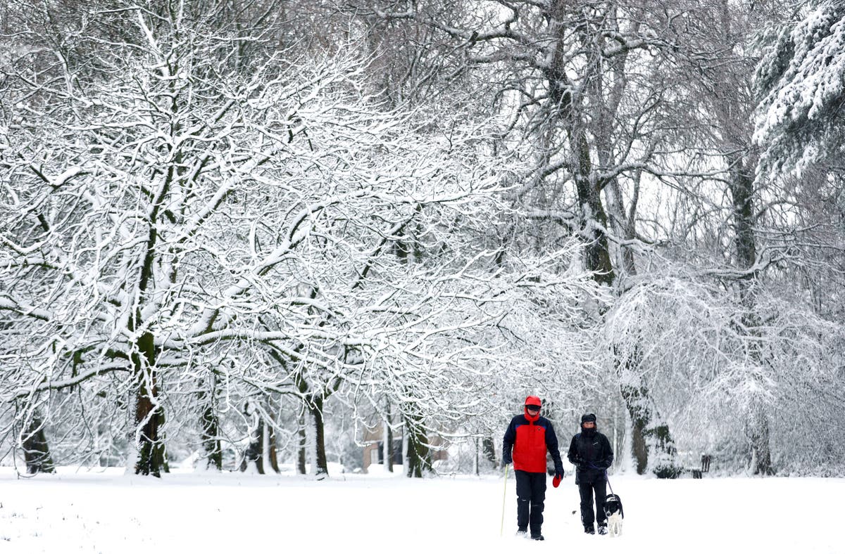 More snow, ice and rain on the way as weather warnings continue - UK weather LIVE - Vimarsana News