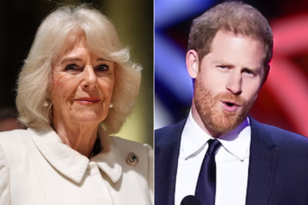 Noticias del rey Carlos: Camilla brinda información actualizada sobre la salud de la pareja mientras Harry gana el pago de Mirror