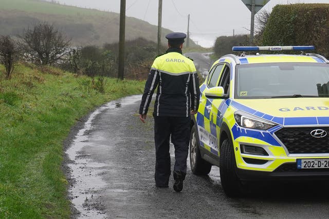 <p>Garda were called to the dog attack in Ballyneety, in County Limerick, on Tuesday night at around 11.40pm. Image is not from the incident. </p>