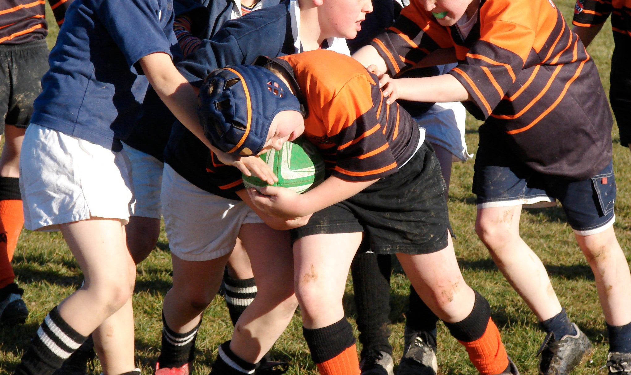The number of parents opting their children out of rugby is growing