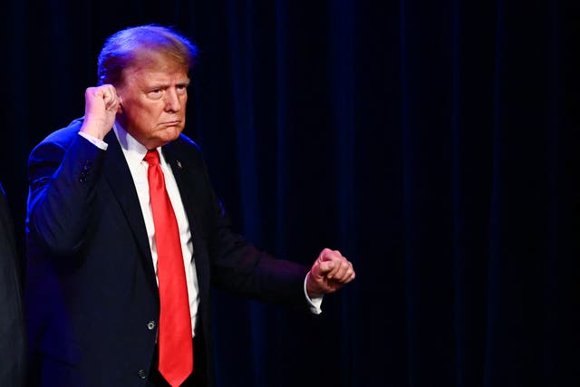 <p>Donald Trump appears at a campaign rally in South Carolina </p>