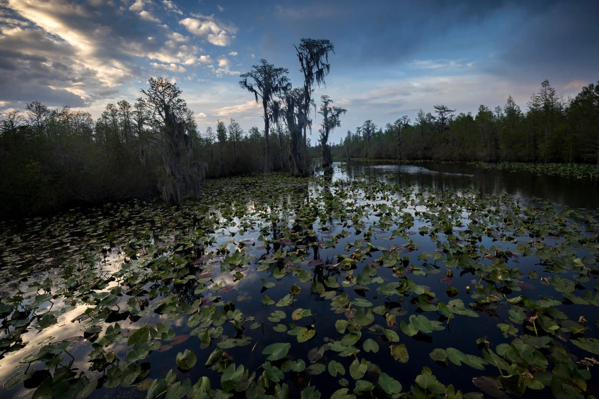 Georgia lawmakers weigh a 3-year pause on expansion permits for planned Okefenokee mine