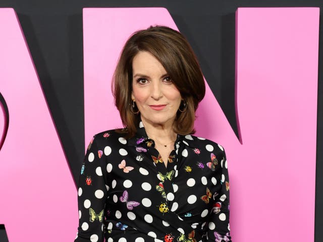 <p>Tina Fey</p>