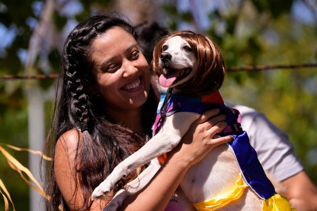 BRASIL-CARNAVAL CANINO