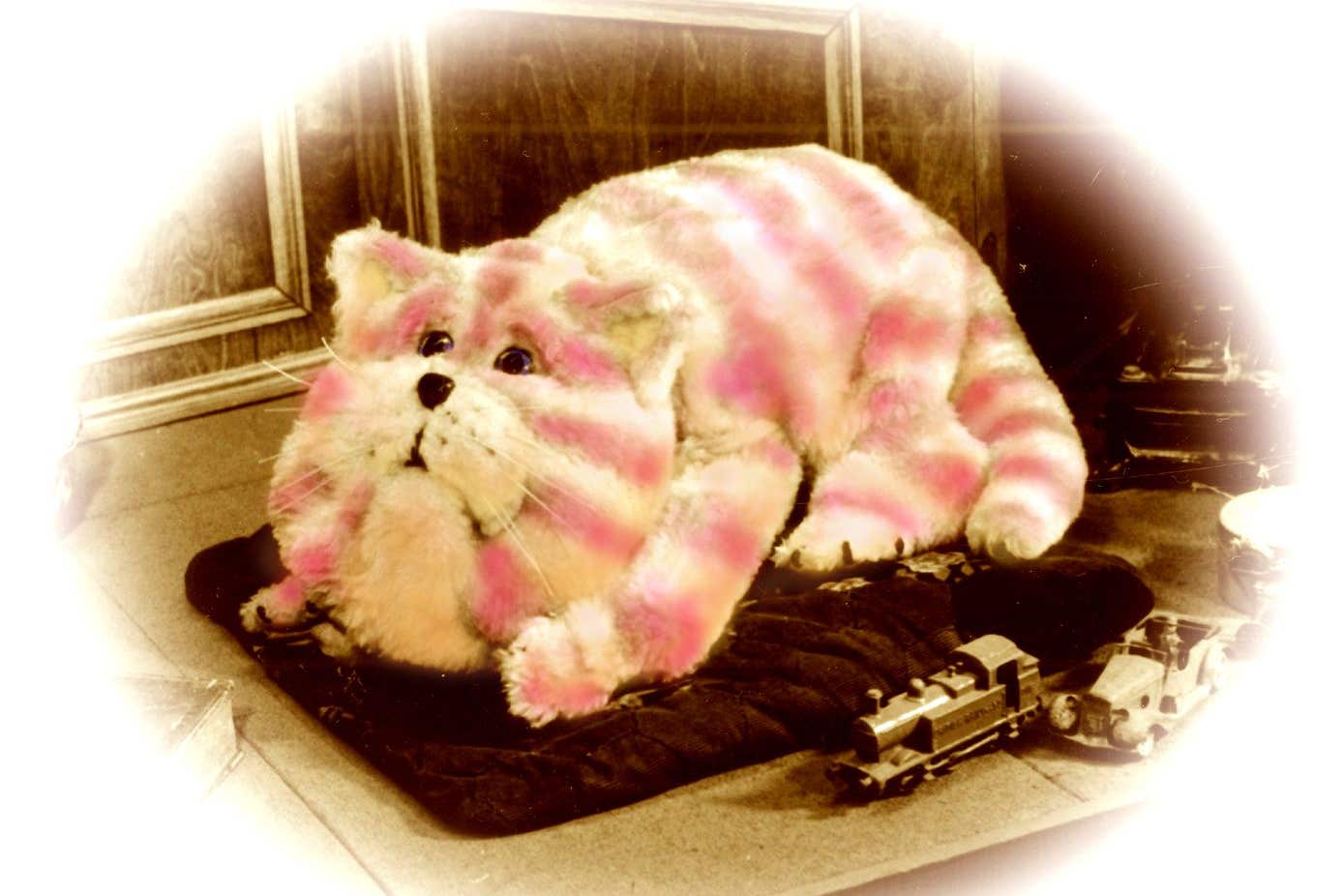 Bagpuss turns 50 this year (2024 Smallfilms Limited and Peter Firmin/PA)