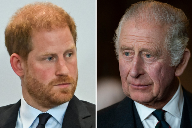 <p>Harry revealed how ‘grateful’ he was to have visited his father earlier this month, following King Charles’s cancer diagnosis</p>