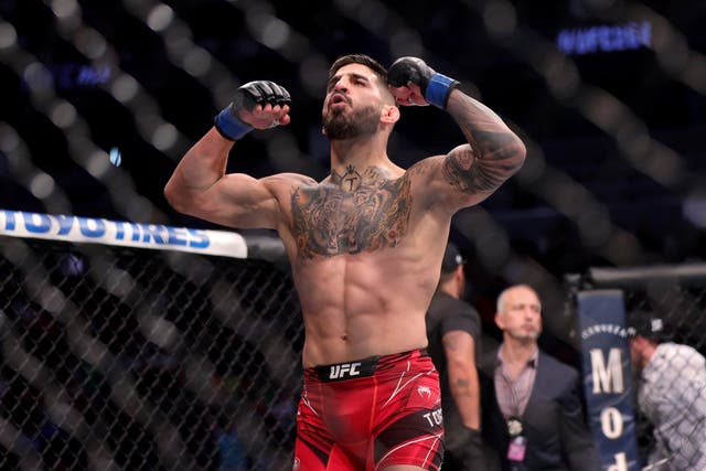 <p>Ilia Topuria has been on a path of destruction in the UFC</p>