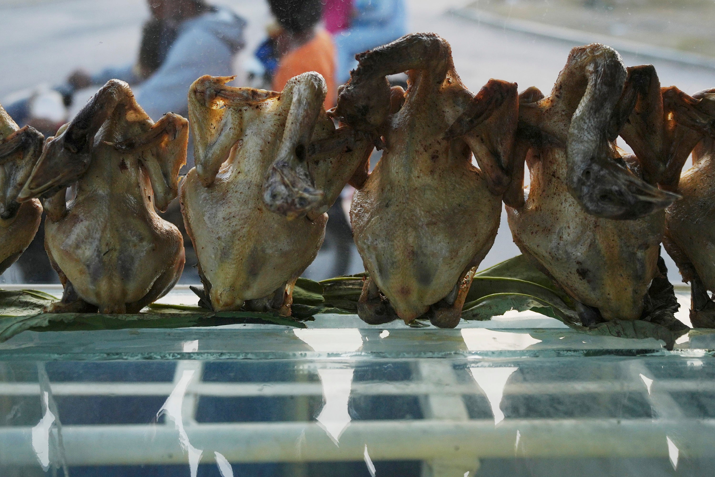 Cambodia Bird Flu