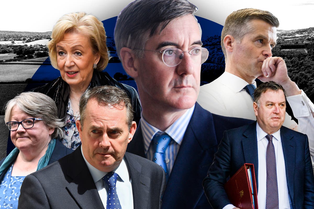 Senior tories set to lose seats as rural Conservative vote at risk of ...