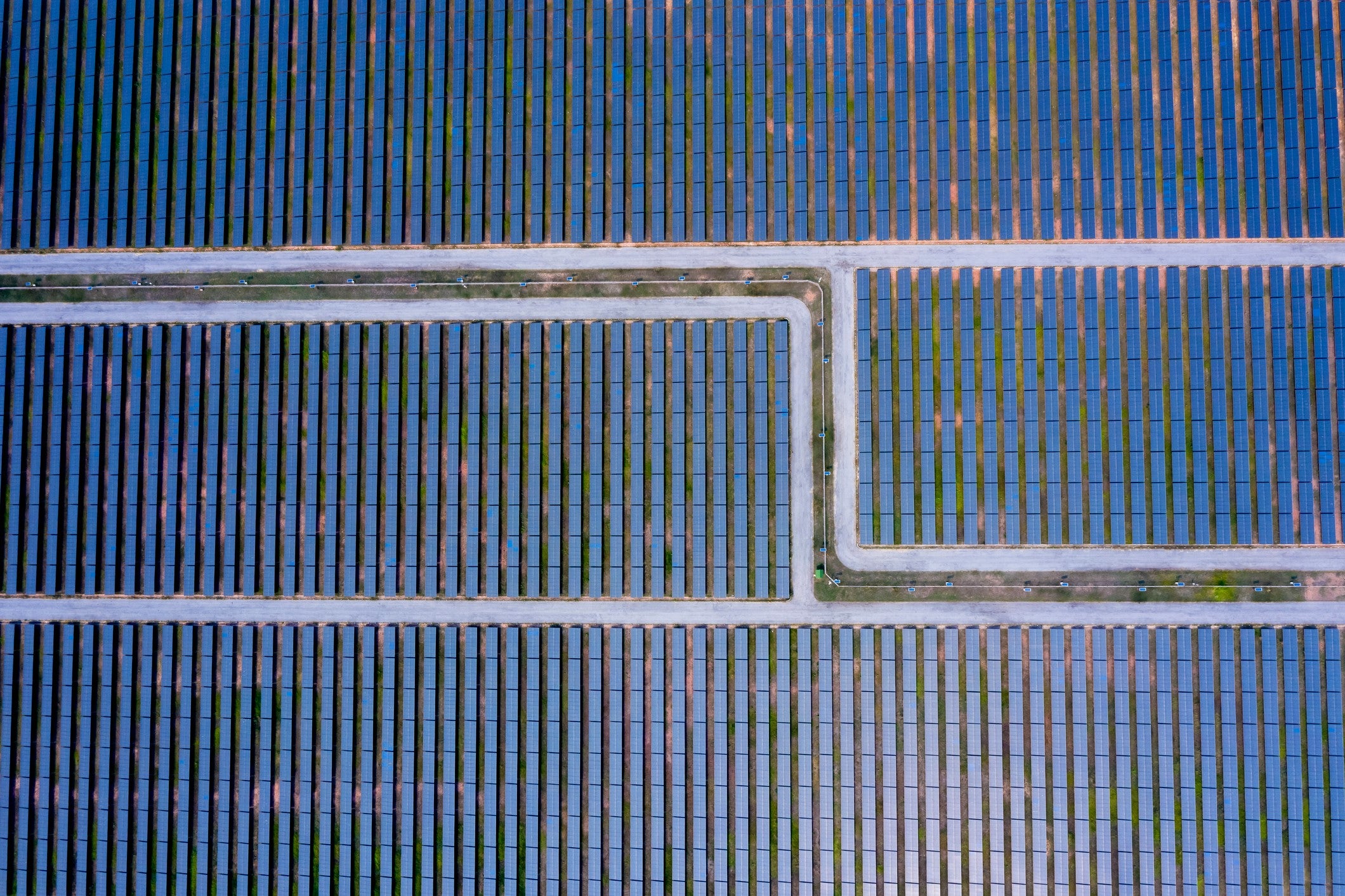 Combining solar panels with ‘shadow-friendly’ crops can significantly increase a land’s production potential, researchers say