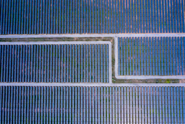 <p>Combining solar panels with ‘shadow-friendly’ crops can significantly increase a land’s production potential, researchers say</p>