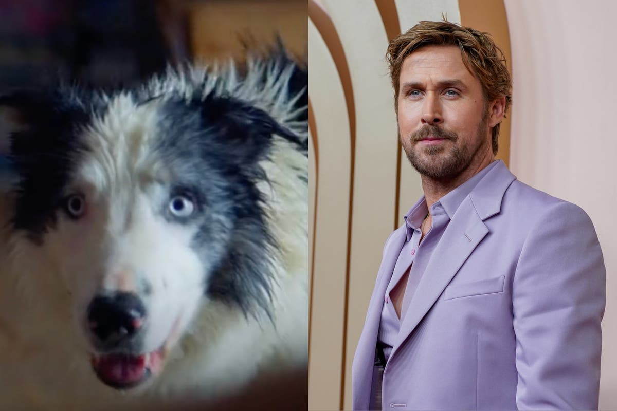Ryan Gosling meets dog from Anatomy of a Fall at Oscars luncheon