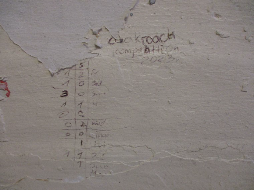A table titled ‘cockroach competition’ showed the number of times prisoners had found the vermin in their cells