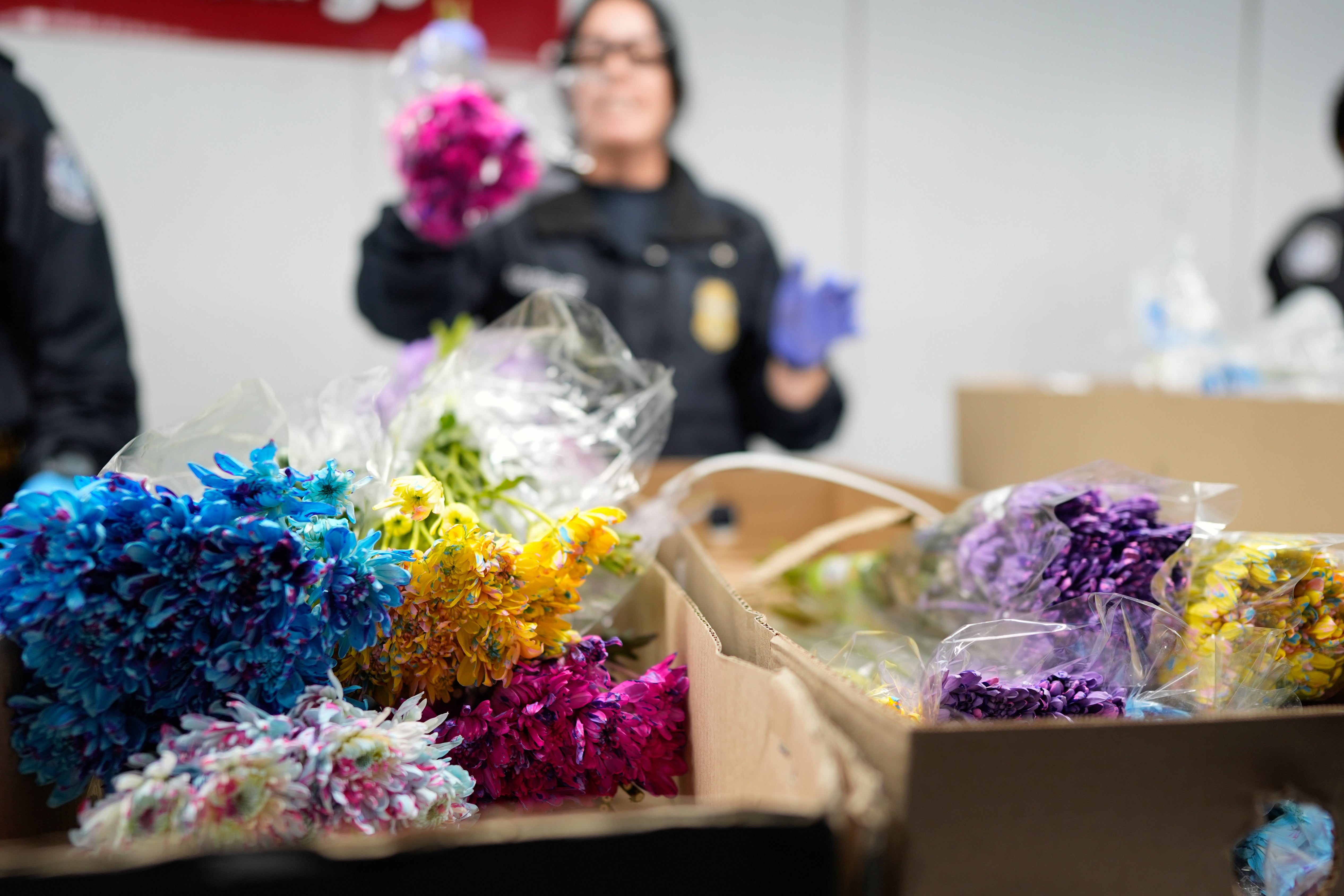 SAN VALENTÍN-FLORES SUDAMERICANAS