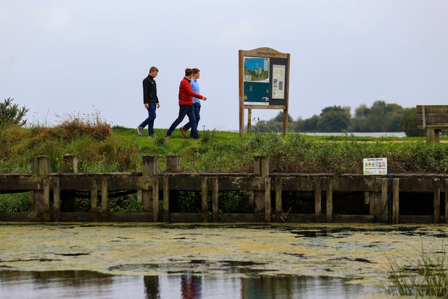 Algae on the surface at Ballyronan Marina in Lough Neagh last September (PA)