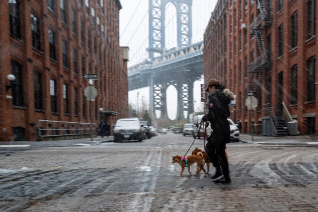 In pictures: New York blanketed in snow after powerful winter storm ...