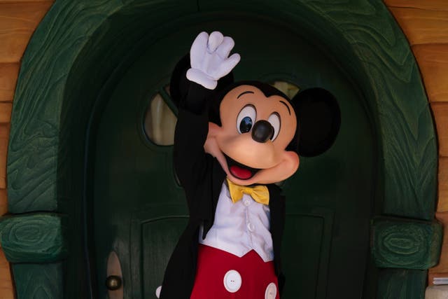 DISNEYLAND-SINDICATO