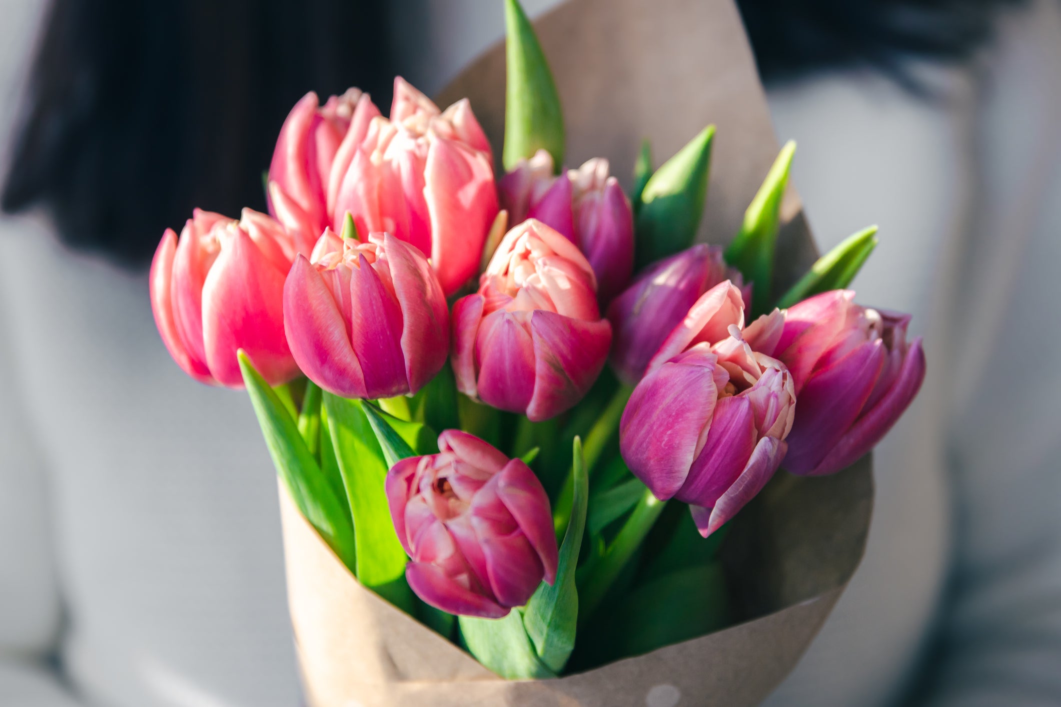 Close-up, a bouquet of pink tulips in craft paper in female hands.