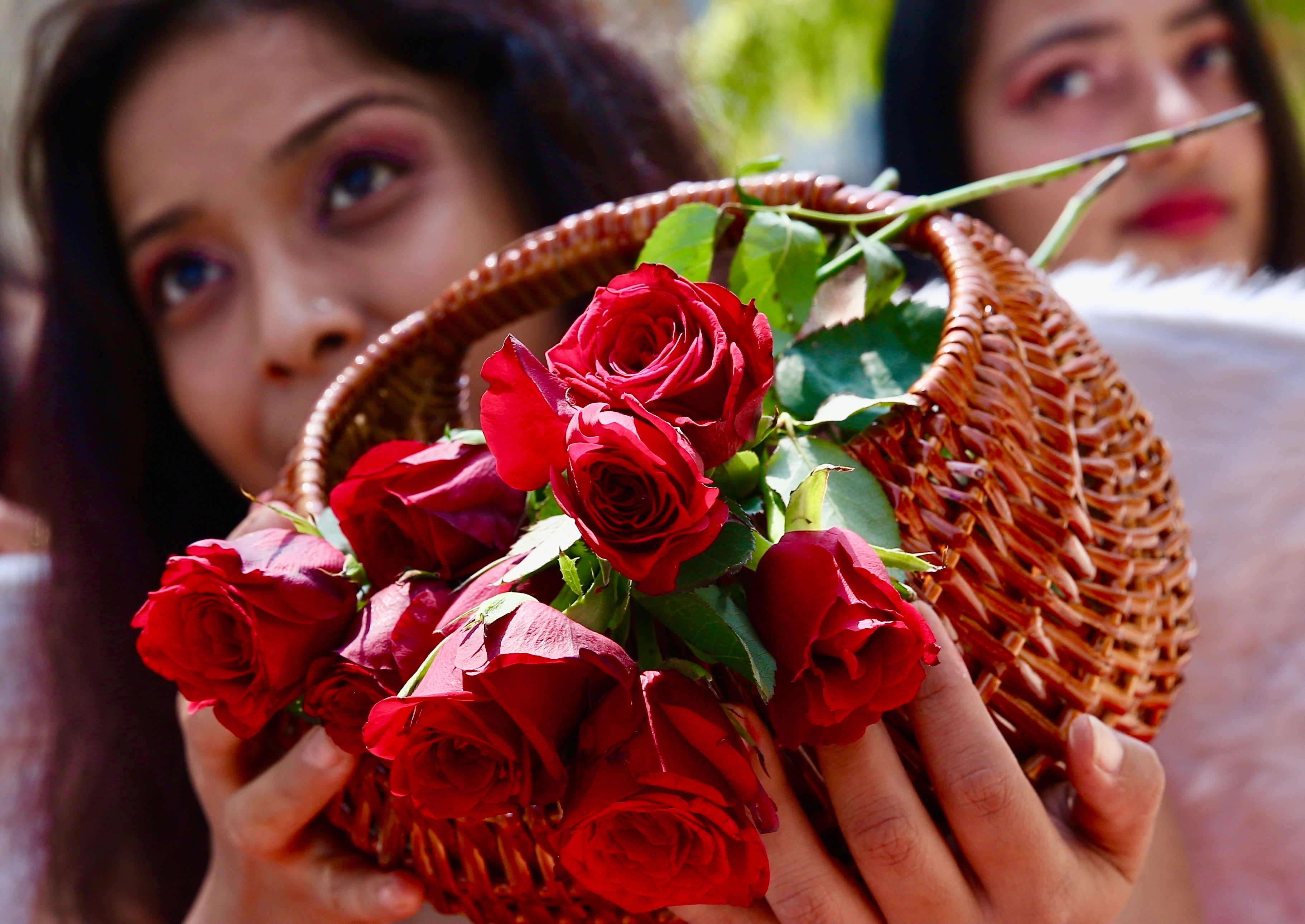 <p>Warning issued to anyone who buys roses for Valentine’s Day</p>