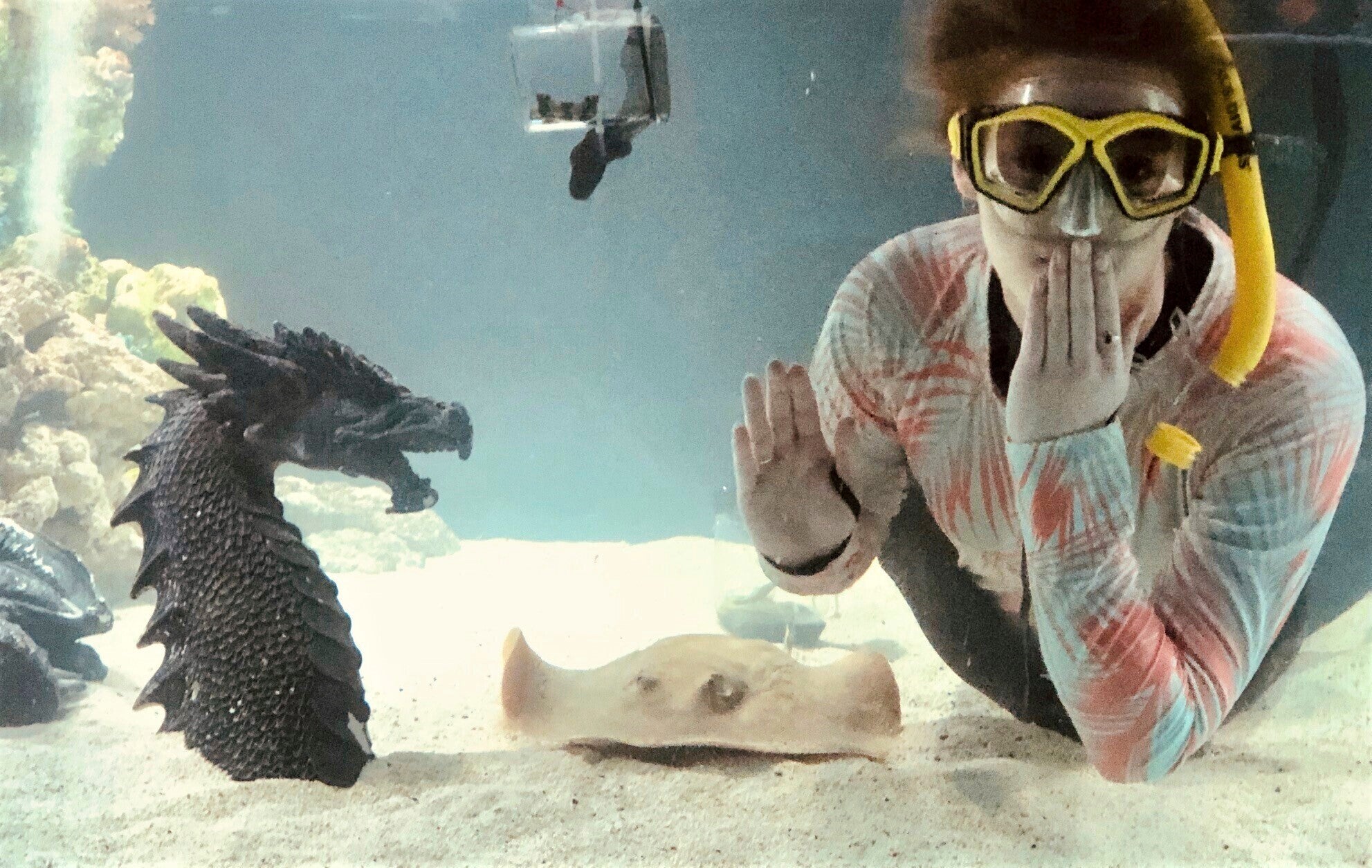 Kinsley Boyette, assistant director of the Aquarium and Shark Lab by Team ECCO, poses in this undated photo next to Charlotte, a round stingray, in Hendersonville