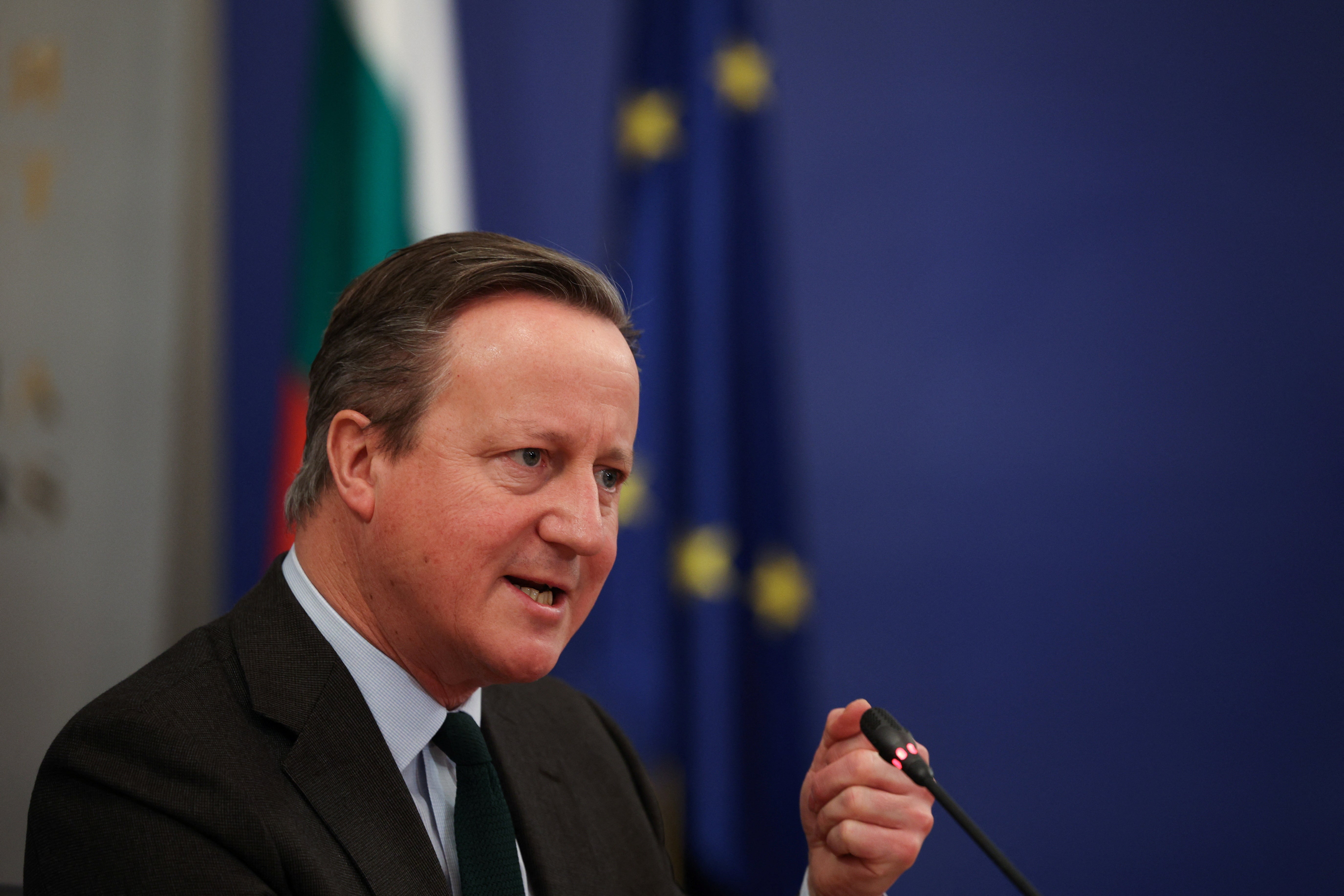 Cameron was quizzed by the European scrutiny committee