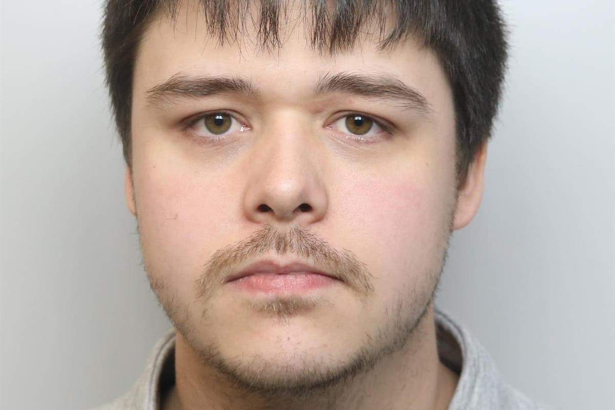 Mechanic jailed for secret life moderating a dark web child abuse site called &lsquo;The Annex&rsquo;