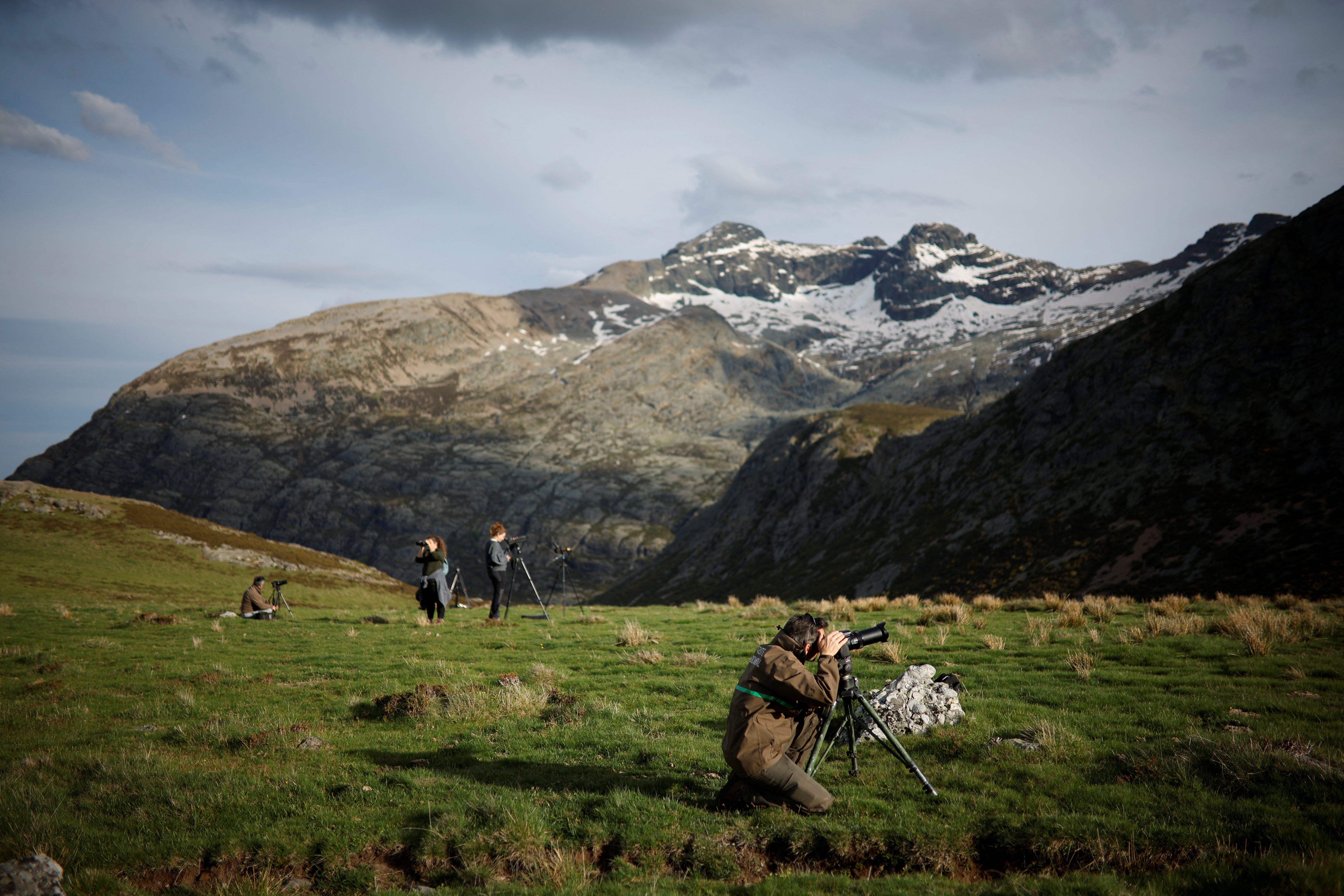 Environmental agents and vets monitor the mountains where Iberian brown bears live, in Valle de Pineda
