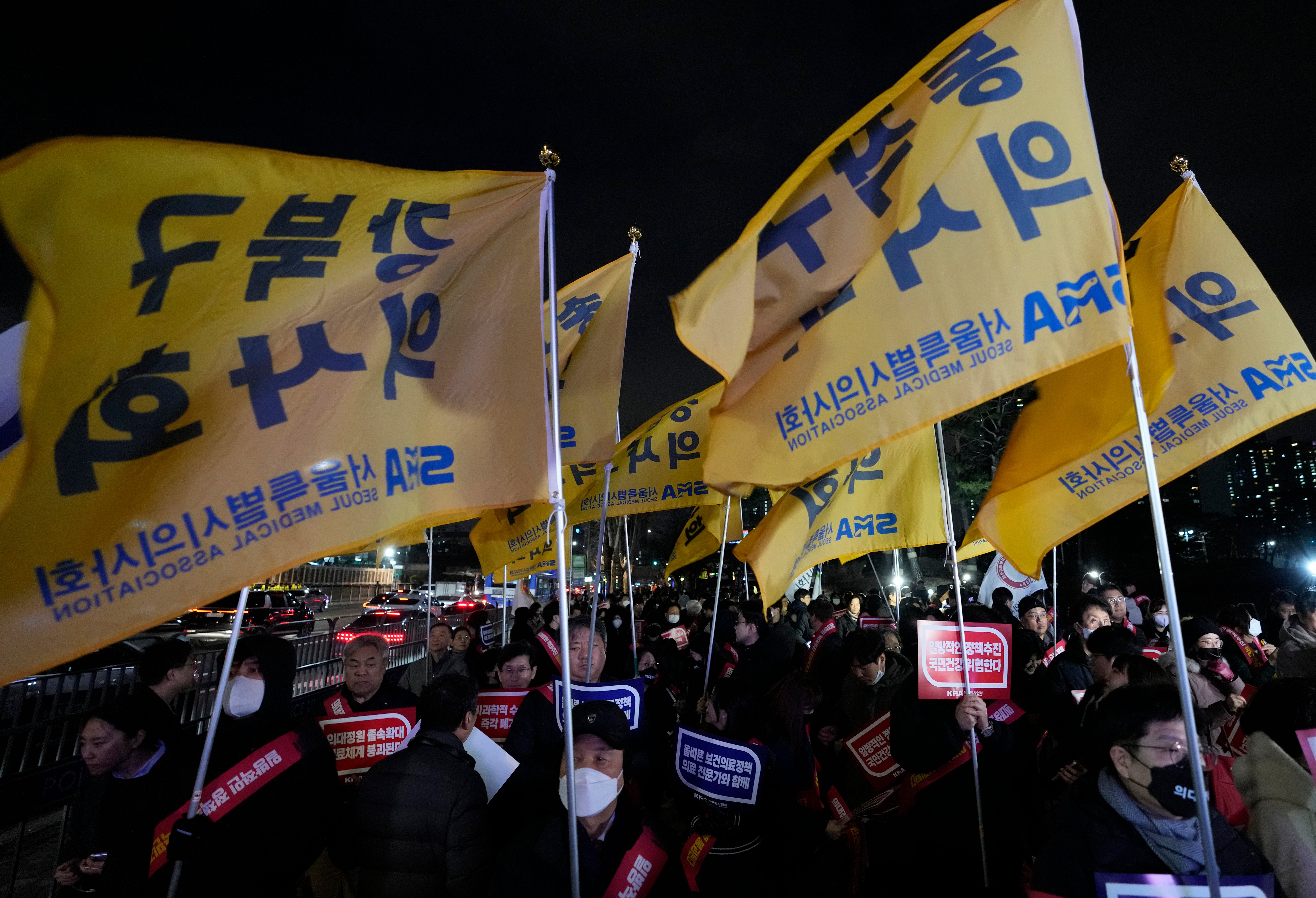 South Korea Doctors Protest