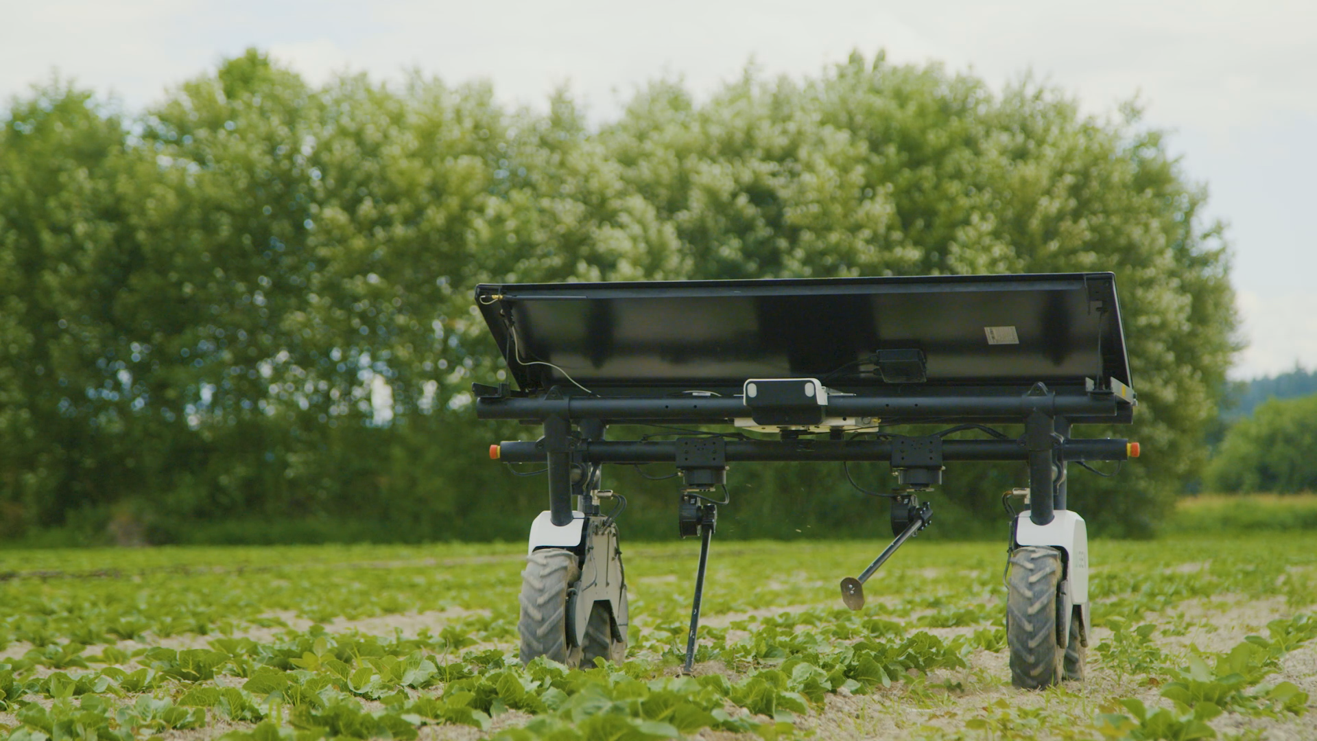 Solar-powered Aigen Element machine understands the difference between a crop and a weed