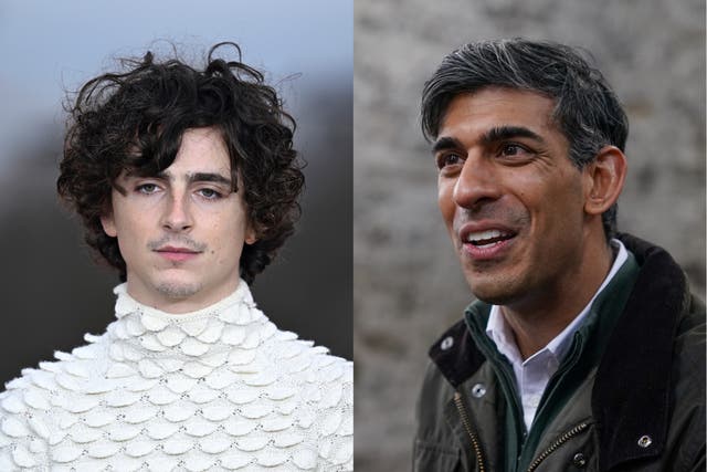 <p>‘Politics is showbusiness for ugly people, so, I was pleasantly surprised when I was recently mistaken for Timothée Chalamet,’ Sunak said.  </p>