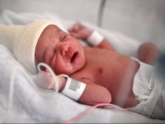 A new-born baby lies in an incubator (stock image)